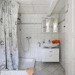 Friesisches Reetdachferienhaus *